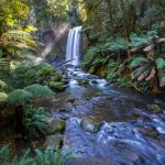 Waterfall Nature Australia - waterfalls between grass and trees at daytime