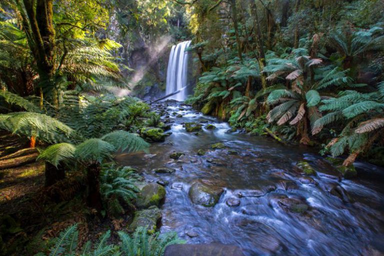 Waterfall Nature Australia - waterfalls between grass and trees at daytime