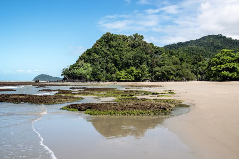 Secluded Beach Australia - green trees beside body of water during daytime