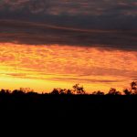 Uluru Sunset Australia - silhouette of trees during sunset