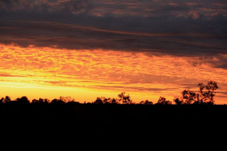 Uluru Sunset Australia - silhouette of trees during sunset