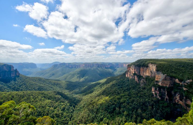 Blue Mountains Australia - trees on mountain under cloudy sky