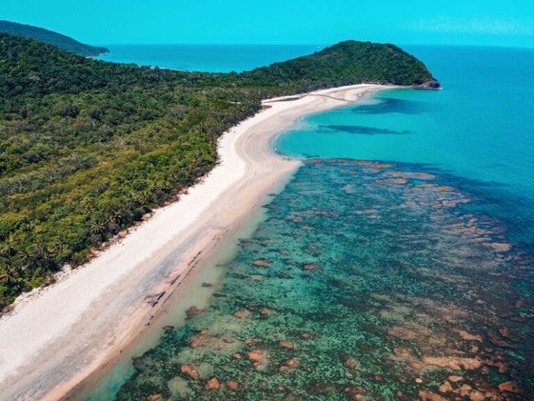Great Barrier Reef - green trees beside blue sea during daytime